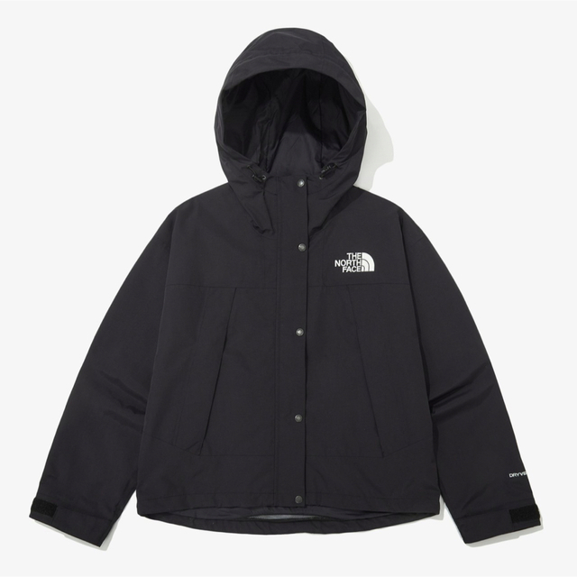 the North face マウンテンパーカー　レディース　L