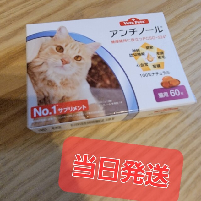 アンチノール60粒 その他のペット用品(猫)の商品写真