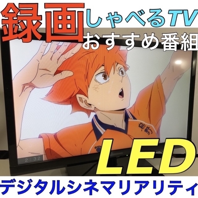 Panasonic - 【先進しゃべるTV】24型 VIERA 液晶テレビ ビエラ