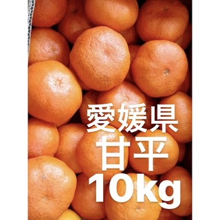 愛媛県産　甘平　柑橘　10kg(フルーツ)