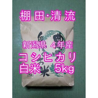 新米 新潟県 ４年産 コシヒカリ 白米 　5ｋｇ(5ｋｇ×１袋) お米 米(米/穀物)