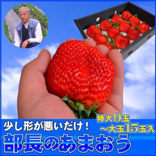 【送料込】訳あり特大あまおう9〜15玉入×2箱 苺(いちご)イチゴの王様アマオウ(フルーツ)