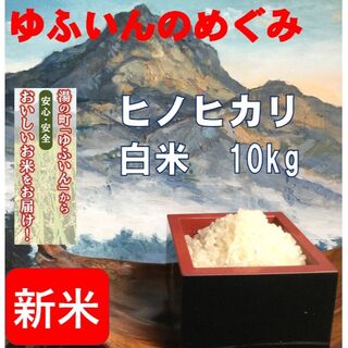 2022年産「ゆふいんのめぐみ」ヒノヒカリ白米10kg(米/穀物)