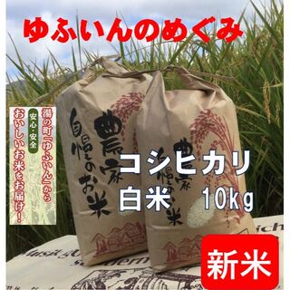 2022年産「ゆふいんのめぐみ」コシヒカリ白米10kg(米/穀物)