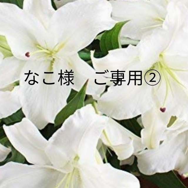 なこさま