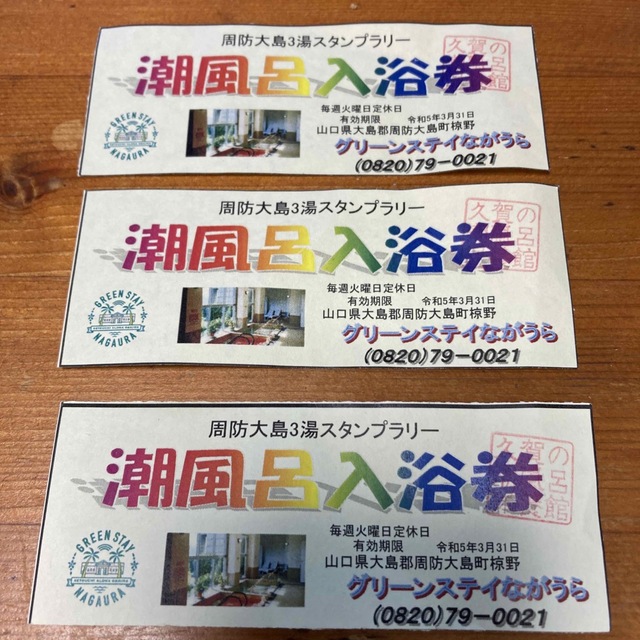 グリーンステイながうら　潮風呂入浴券3枚 チケットの施設利用券(その他)の商品写真