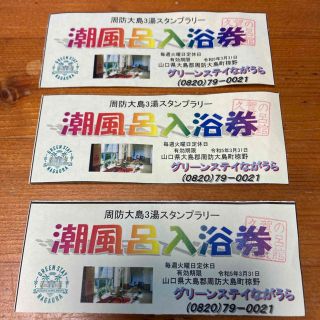 グリーンステイながうら　潮風呂入浴券3枚(その他)