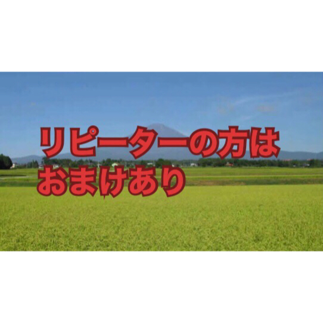 米ぬか 600g 米農家 自家製 無農薬米 食塩無添加 食品/飲料/酒の食品(米/穀物)の商品写真