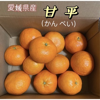 甘平　かんぺい　愛媛県産　箱込み2kg  約9-12玉　JA全農えひめ　柑橘(フルーツ)
