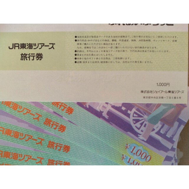 JR東海ツアーズ旅行券　10,000円分 3