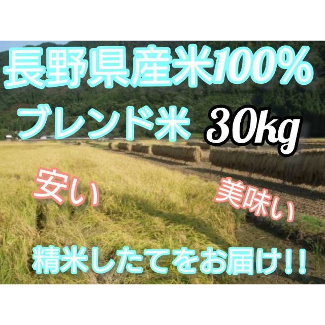 【白米】長野県産ブレンド米30キロ（10キロ×3袋）精米したてをお届け‼️のサムネイル