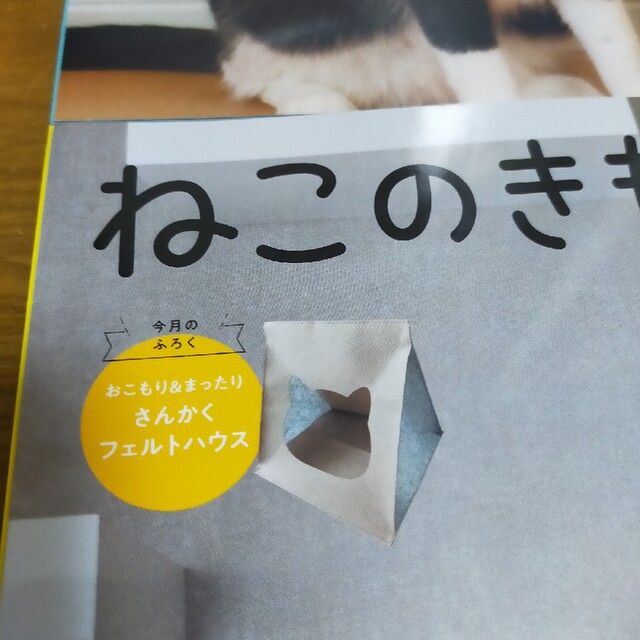 Benesse(ベネッセ)の新品　ねこのきもち　付録付き　2023年　さんかくフェルトハウス　&　病気事典 その他のペット用品(猫)の商品写真