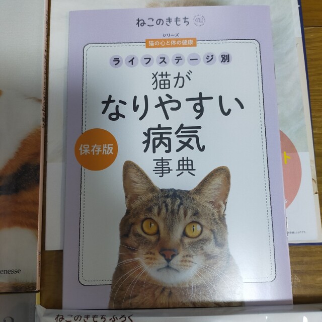 Benesse(ベネッセ)の新品　ねこのきもち　付録付き　2023年　さんかくフェルトハウス　&　病気事典 その他のペット用品(猫)の商品写真