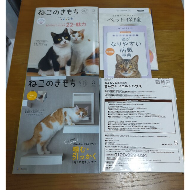 Benesse(ベネッセ)の新品　ねこのきもち　付録付き　2023年　さんかくフェルトハウス　&　病気事典 その他のペット用品(猫)の商品写真