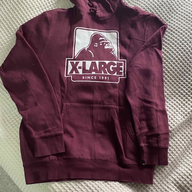 XLARGE(エクストララージ)のぽち様専用　X-large エクストララージ　パーカー メンズのトップス(パーカー)の商品写真