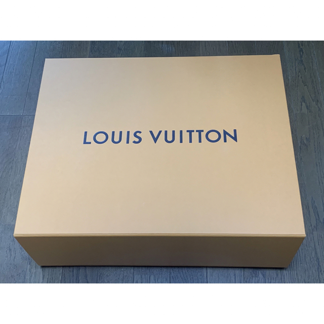 LOUIS VUITTON - ルイヴィトン 空箱＆ショップ袋 大＆小セットの