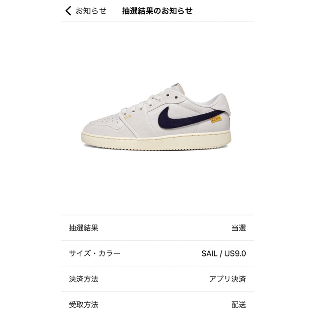 NIKE(ナイキ)のunion メンズの靴/シューズ(スニーカー)の商品写真