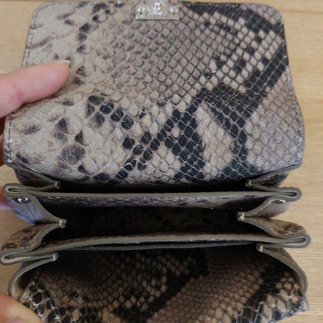 IACUCCI イアクッチ パイソン柄 ミニウォレット 財布 美品 IACUCCI イアクッチ パイソン柄 ミニウォレット 財布 美品