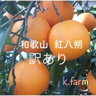 maami77さま。　訳あり家庭用　和歌山　紅八朔　15キロ２箱(フルーツ)