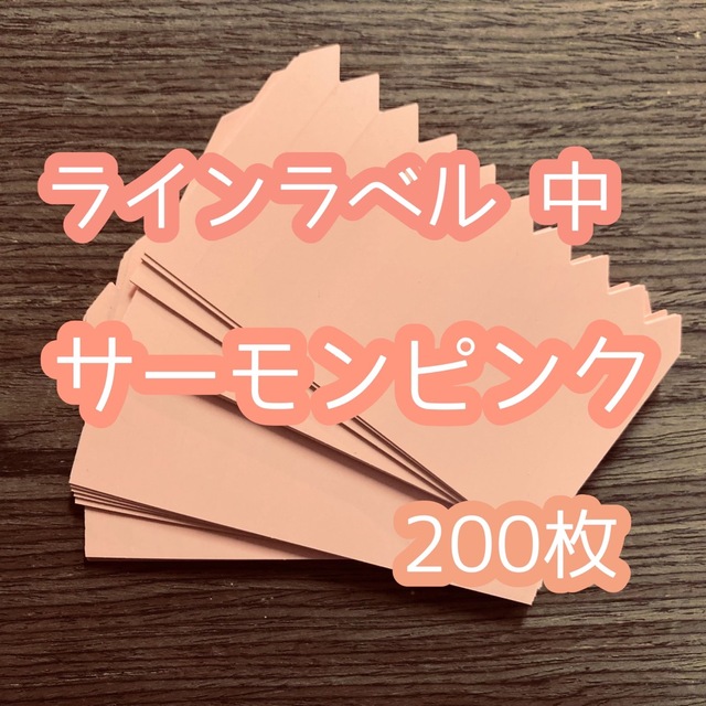 ラインラベル 中 肌200枚 園芸 アガベ エケベリア カラーラベル ハンドメイドのフラワー/ガーデン(プランター)の商品写真