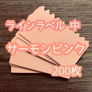 ラインラベル 中 肌200枚 園芸 アガベ エケベリア カラーラベル(プランター)