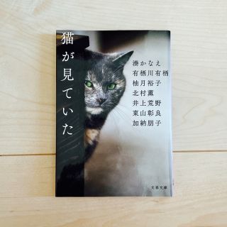 コウダンシャ(講談社)の猫が見ていた(文学/小説)