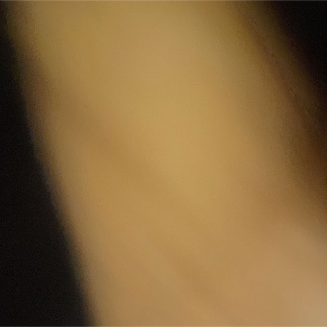 トップス　ヒョウ柄　キラキラ　ブラック レディースのトップス(カットソー(長袖/七分))の商品写真