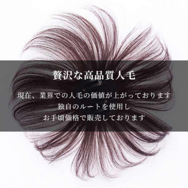 頭頂部 ウィッグ 部分かつら ヘアピース 自然 ブラウン つけ毛 メンズ にも レディースのウィッグ/エクステ(その他)の商品写真