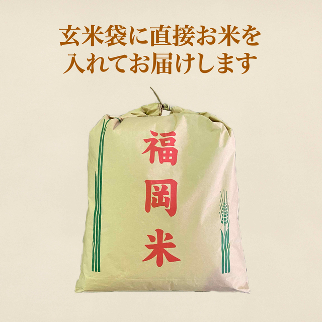 玄米 ひのひかり25kg 1等米 厳選米 令和4年 福岡県産 お米 安い 新米 食品/飲料/酒の食品(米/穀物)の商品写真