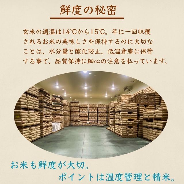 ひのひかり 10kg(5kg×2)厳選米 1等米 令和4年 お米 美味しい 食品/飲料/酒の食品(米/穀物)の商品写真