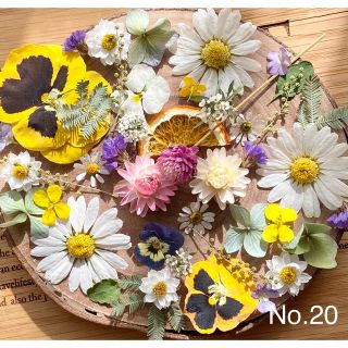 No.20❇︎ドライフラワー花材セット❇︎Spring❇︎マーガレット❇︎S(ドライフラワー)