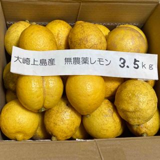 広島県大崎上島産無農薬レモン　3.5kg(フルーツ)