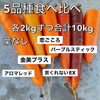 本日収穫 フルーツ人参 5品種 食べ比べ 10kg 葉なし(野菜)