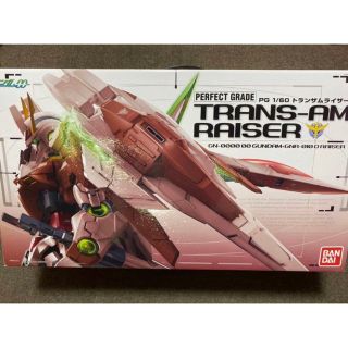 PG トランザムライザー プレミアムバンダイ限定品　機動戦士ガンダム00 新品(プラモデル)