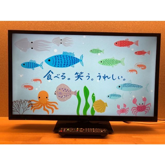 パナソニック 10V型 液晶 テレビ DMP-BV300-R ブルーレイプレーヤー搭載 - 5