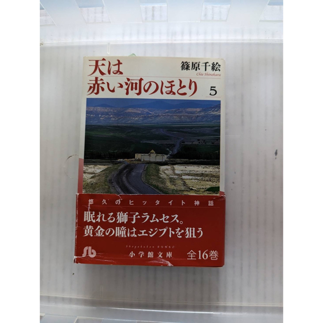 天は赤い河のほとり 16巻 - 少女漫画