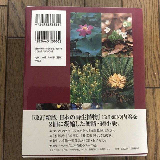 日本の野生植物I 改訂新版 ソテツ科〜コミカンソウ科 お買い得商品