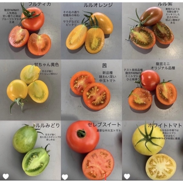 龍宮フルティカ＆ジュエリー 食品/飲料/酒の食品(野菜)の商品写真