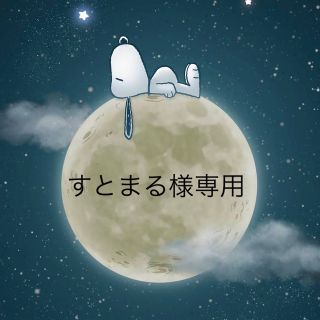 すとまる様専用です。(リュック/バックパック)