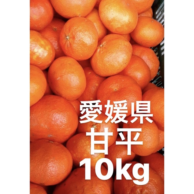愛媛県産　甘平　柑橘　10kg