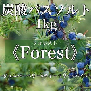 バスソルト ジュニパーベリー 森林の香り：ティーツリーでリフレッシュ(入浴剤/バスソルト)