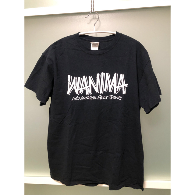 WANIMA(ワニマ)のWANIMA Tシャツ PIZZA OF DEATH メンズのトップス(Tシャツ/カットソー(半袖/袖なし))の商品写真