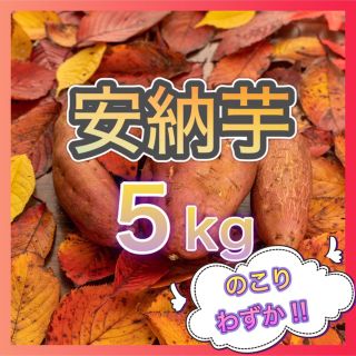 さつまいも【安納芋】5kg(野菜)