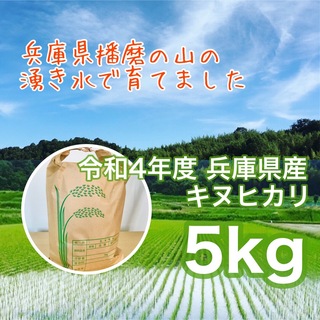 山の湧き水育ち 農家のお米 兵庫県産キヌヒカリ 5キロ(米/穀物)