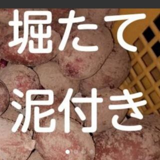 おじいちゃんの無農薬じゃがいも(o^^o)食べ比べ4種類　3キロ送料込2000円(野菜)