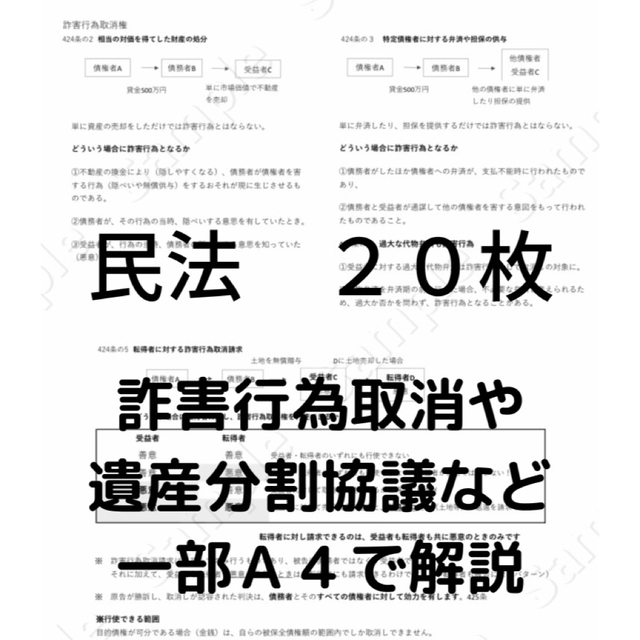 2023行政書士独学サポートchの試験対策資料と重要比較論点集の2点セットです その他のその他(その他)の商品写真