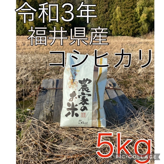 福井県産　令和3年　shop｜ラクマ　by　白米　コシヒカリ　送料無料の通販　5kg　sakura's