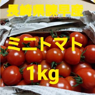 長崎県諫早産ミニトマト1kg(野菜)