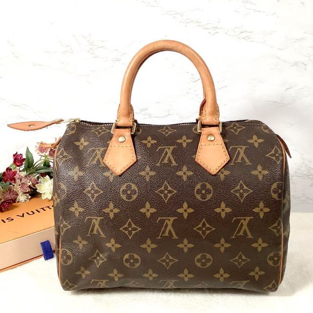 LOUIS VUITTON - ⭐️美品⭐️ルイヴィトン スピーディ25 ハンドバック