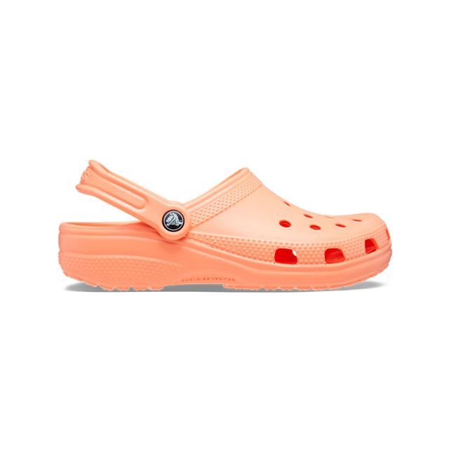 crocs(クロックス)の22cm クロックス クラシック クロッグ パパイヤ オレンジ系 レディースの靴/シューズ(サンダル)の商品写真